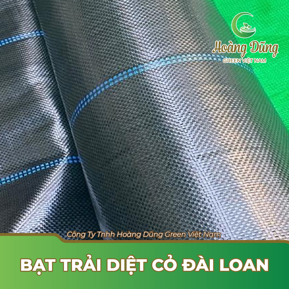 Bạt trải diệt cỏ Đài Loan