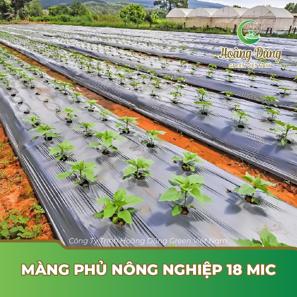 Màng phủ nông nghiệp 18 mic
