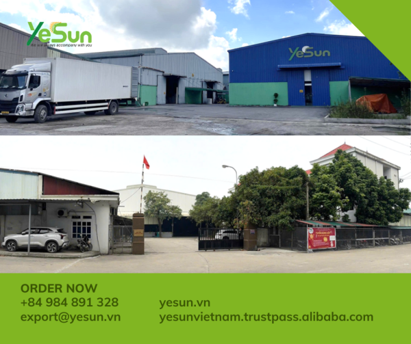 Hình ảnh nhà máy - Công Ty TNHH Yesun Việt Nam