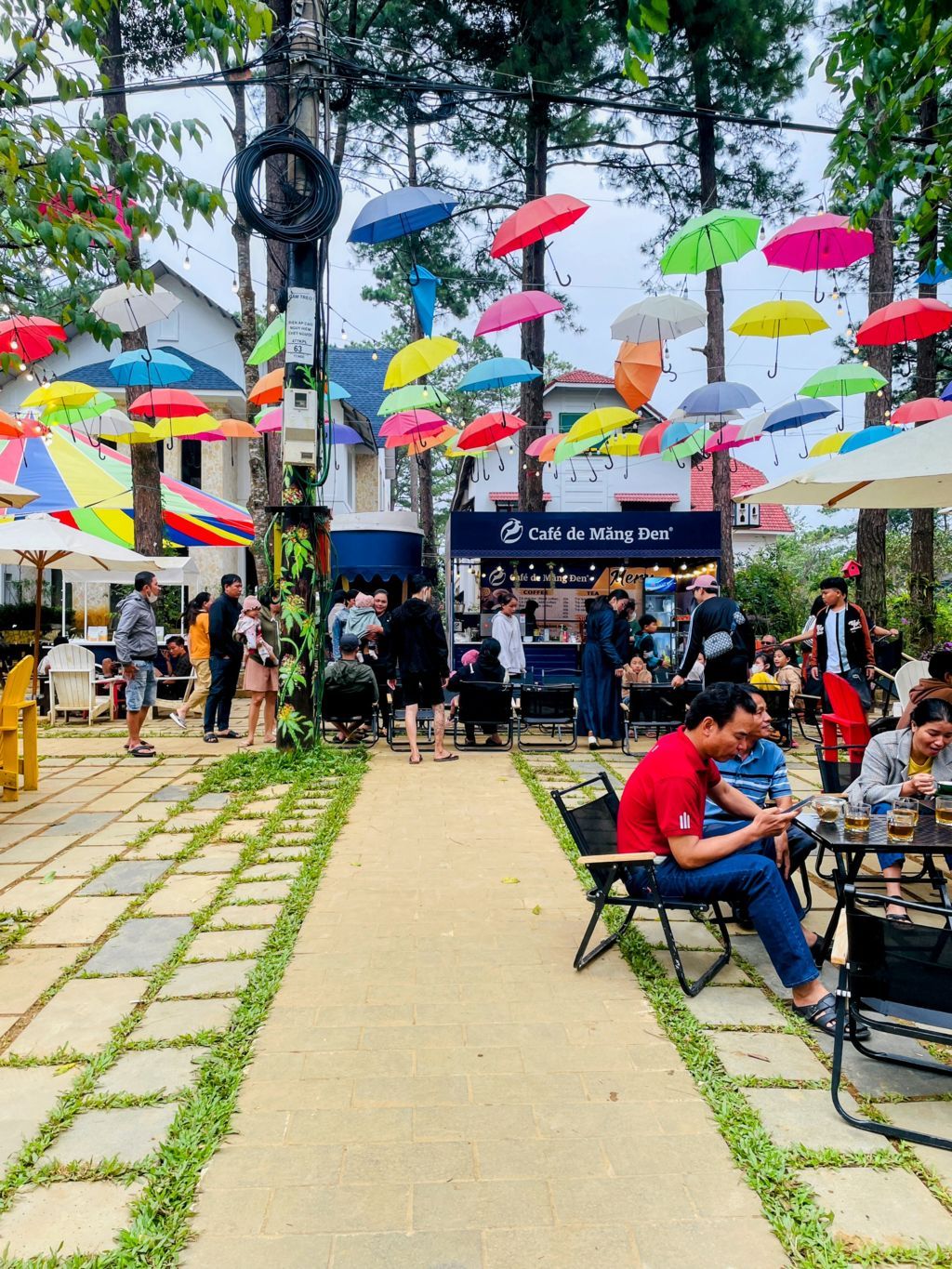 Tour tham Đà Nẵng – Măng Đen – Pleiku - Bình Định 3n2đ