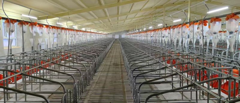 Sản phẩm - Qingzhou Sinuorui Trading Co., Ltd