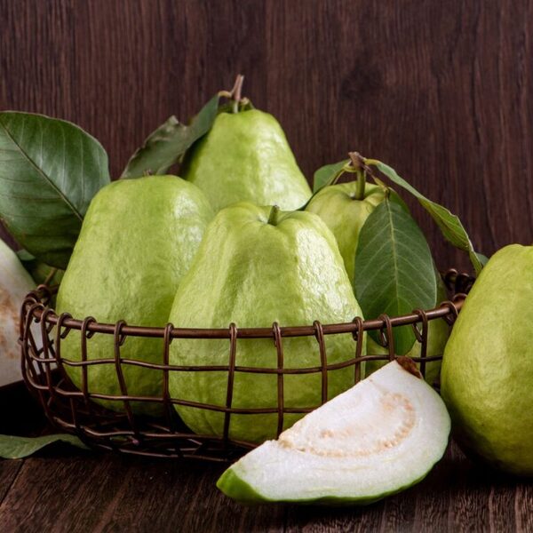 Ổi ruột trắng