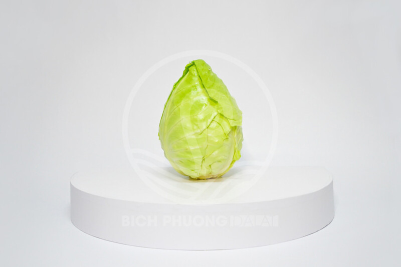 Bắp cải trái tím