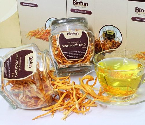 In nhãn đông trùng hạ thảo - In Bao Bì Nguyên Phong - Công Ty TNHH SX TM In Nguyên Phong