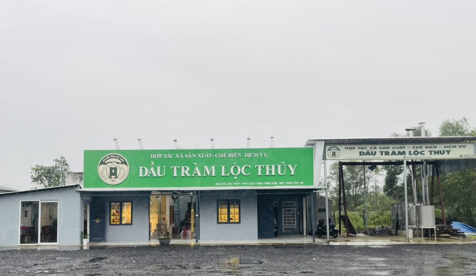 Địa điểm hoạt động HTX - Hợp Tác Xã Sản Xuất, Chế Biến, Dịch Vụ Dầu Tràm Xã Lộc Thủy