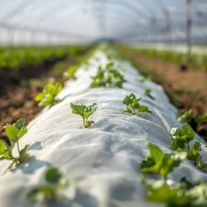 Vải PET – ứng dụng trong nông nghiệp