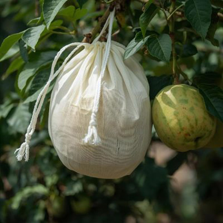 Vải PLA không dệt – ứng dụng làm vật liệu phủ nông nghiệp & làm vườn.