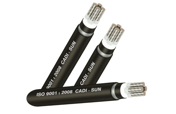 Cáp nhôm ngầm 4 ruột