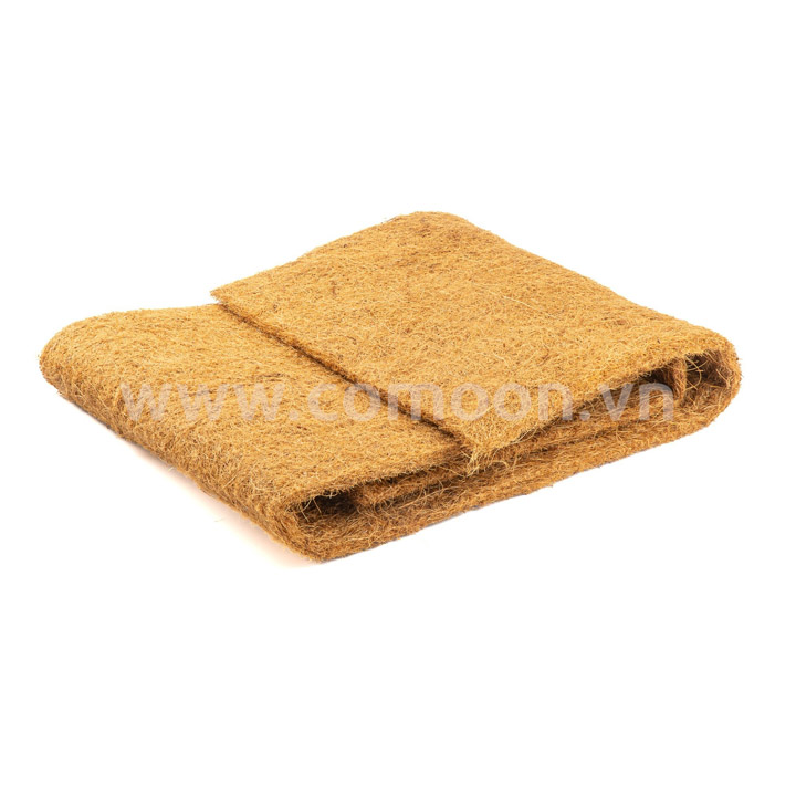 Băng dừa - Sản Phẩm Từ Dừa Comoon - Công Ty TNHH Comoon