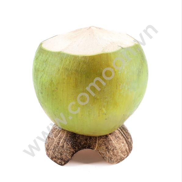 Chân đèn nến - Sản Phẩm Từ Dừa Comoon - Công Ty TNHH Comoon