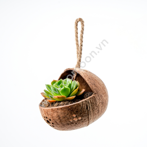 Chậu cây treo - Sản Phẩm Từ Dừa Comoon - Công Ty TNHH Comoon