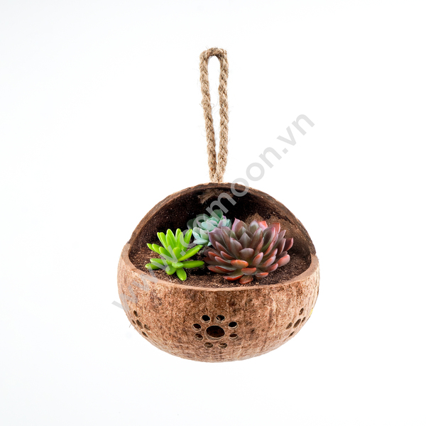 Chậu cây treo - Sản Phẩm Từ Dừa Comoon - Công Ty TNHH Comoon