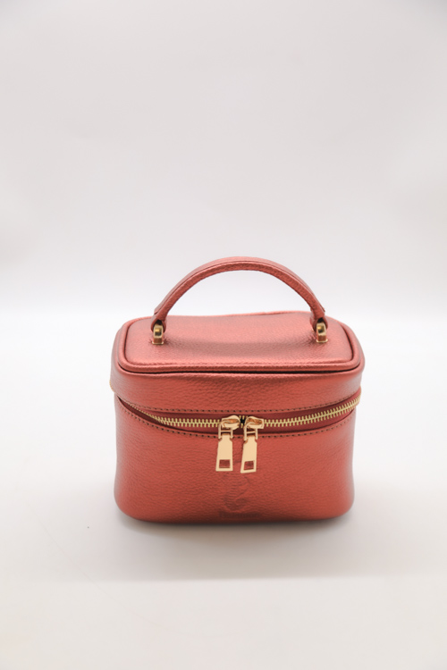 Túi nữ dáng cốp nhỏ - DT86