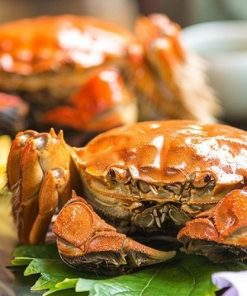 Cua lông Hồng Kong - Công Ty TNHH Hải Sản Trung Nam