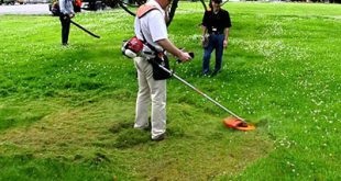 Dịch vụ cắt cỏ - Xây Dựng Đại Hưng Landscape - Chi Nhánh Công Ty TNHH Xây Dựng Dịch Vụ Đại Hưng Landscape