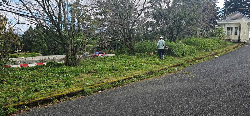 Dịch vụ thiết kế, thi công cảnh quan - Xây Dựng Đại Hưng Landscape - Chi Nhánh Công Ty TNHH Xây Dựng Dịch Vụ Đại Hưng Landscape
