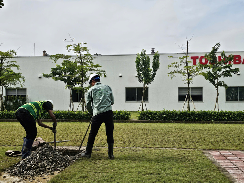 Dịch vụ thiết kế, thi công cảnh quan - Xây Dựng Đại Hưng Landscape - Chi Nhánh Công Ty TNHH Xây Dựng Dịch Vụ Đại Hưng Landscape