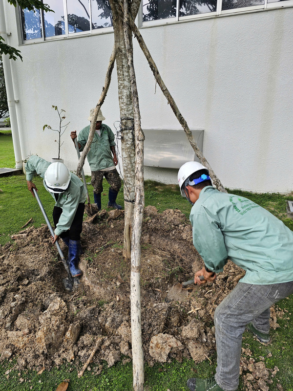 Dịch vụ thiết kế, thi công cảnh quan - Xây Dựng Đại Hưng Landscape - Chi Nhánh Công Ty TNHH Xây Dựng Dịch Vụ Đại Hưng Landscape