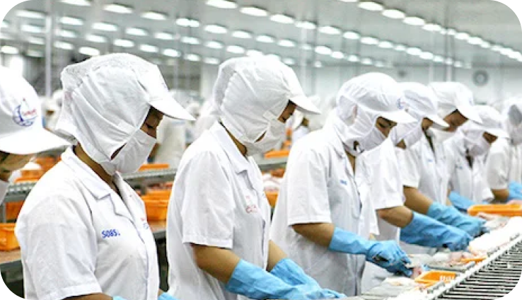 Tư vấn & triển khai giải pháp nhân sự linh hoạt - Suất Ăn Công Nghiệp Dici Catering - Công Ty Cổ Phần Dici Việt Nam