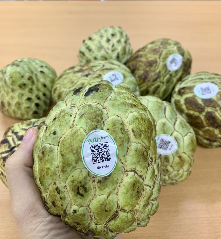 In nhãn Barcode - In Tem Nhãn Việt Spring - Công Ty TNHH Sản Xuất Thương Mại Dịch Vụ Việt Spring