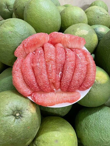 Bưởi da xanh ruột đỏ Bến Tre xuất khẩu