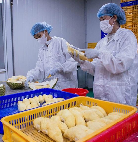 Công ty Thiên Sa G20