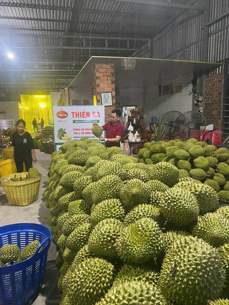 Công ty Thiên Sa G20