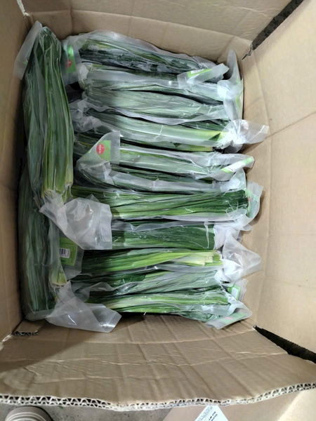 Lá dứa cấp đông