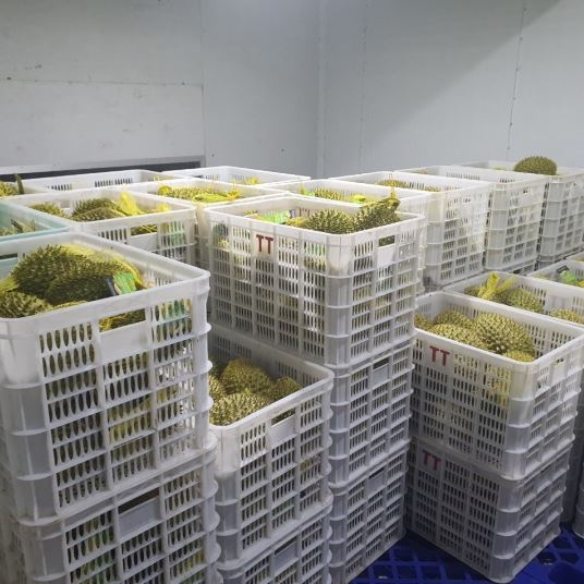 Sầu riêng cấp đông xuất khẩu