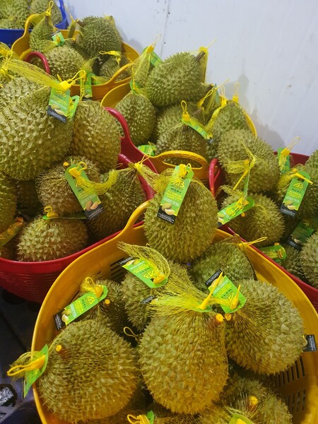 Sầu riêng cấp đông xuất khẩu