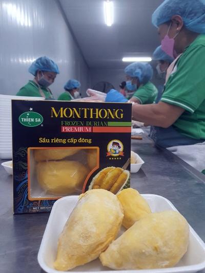 Sầu riêng cấp đông xuất khẩu