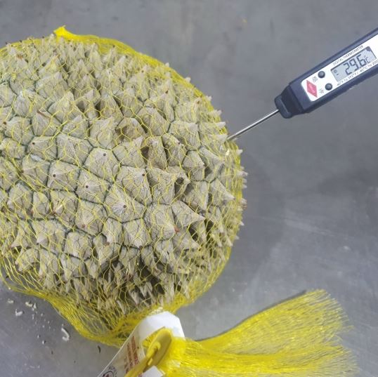 Sầu riêng cấp đông xuất khẩu