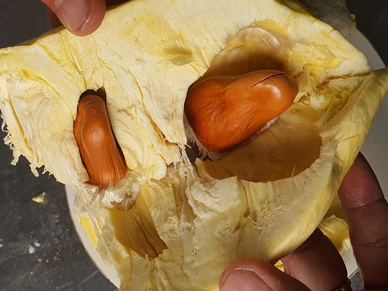 Sầu riêng Monthong cấp đông