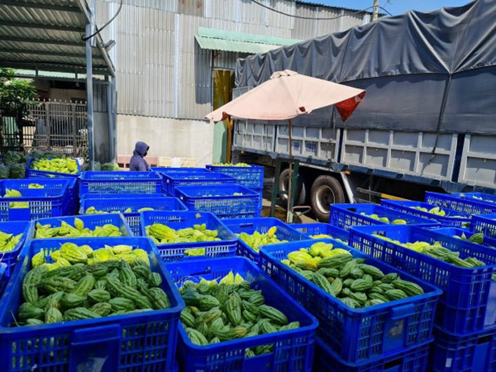 Hình ảnh công ty Hòa Phát