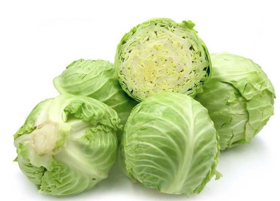 Bắp cải - Thực Phẩm Sạch Tâm An - Công Ty TNHH Thực Phẩm Sạch Tâm An Hải Dương