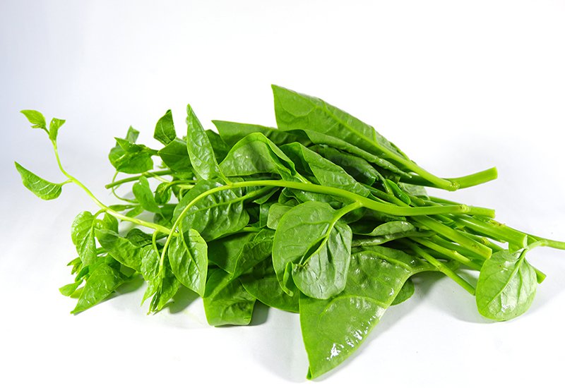 Rau mồng tơi - Thực Phẩm Sạch Tâm An - Công Ty TNHH Thực Phẩm Sạch Tâm An Hải Dương