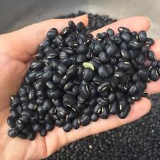 Đỗ đen - Thực Phẩm Sạch Tâm An - Công Ty TNHH Thực Phẩm Sạch Tâm An Hải Dương