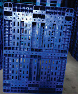 Pallet nhựa
