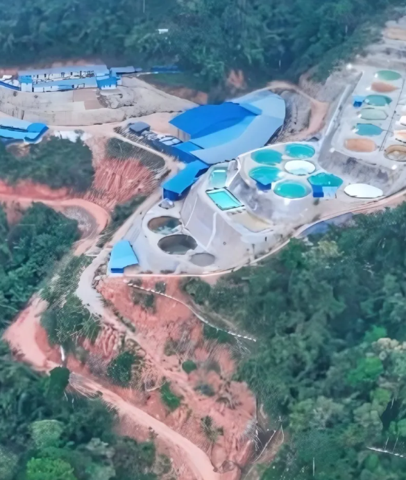 Quặng đất hiếm