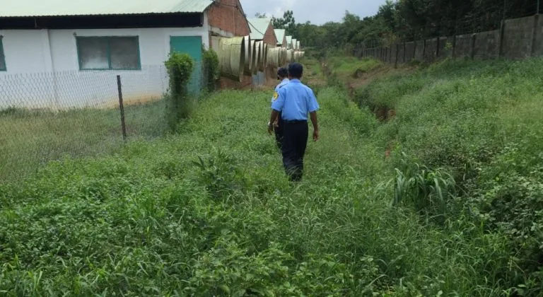 Dịch vụ bảo vệ trang trại