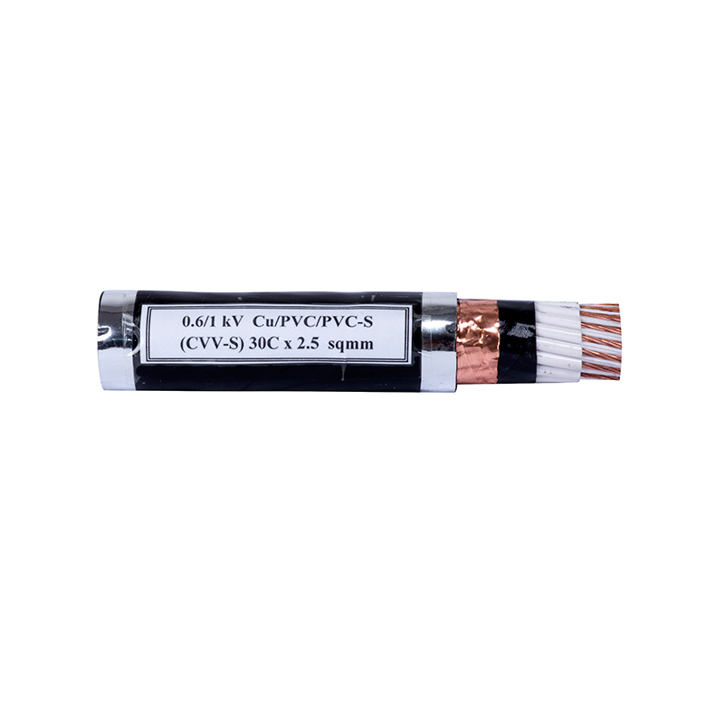 Cáp điện (CVV-S)30C x 2.5