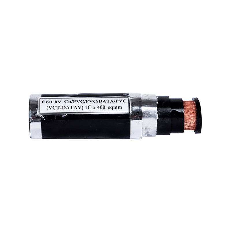 Cáp điện (VCT_DATAV)1C x 400