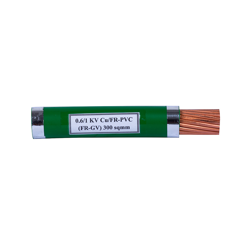 Cáp điện (FR-GV)300
