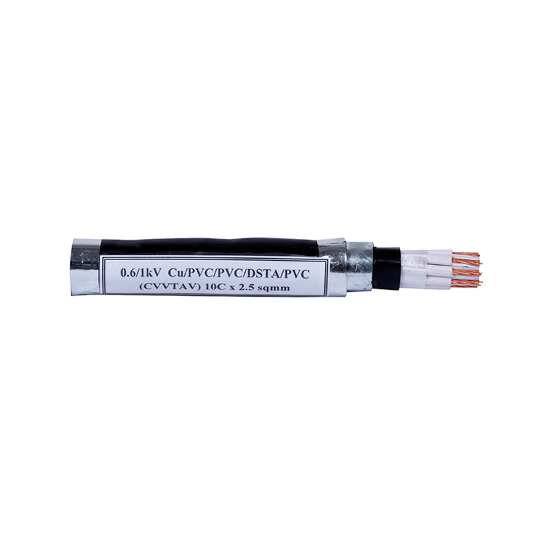 Cáp điện (CVVTAV)10C x 2.5