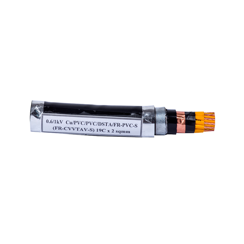 Cáp điện (FR-CVVTAV-S)19C x 2