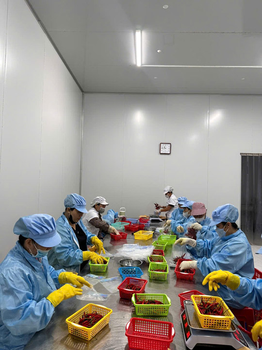 Hình ảnh kho hàng nông sản cấp đông Huy Yến