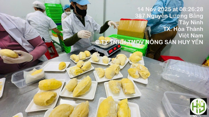 Sầu riêng cấp đông