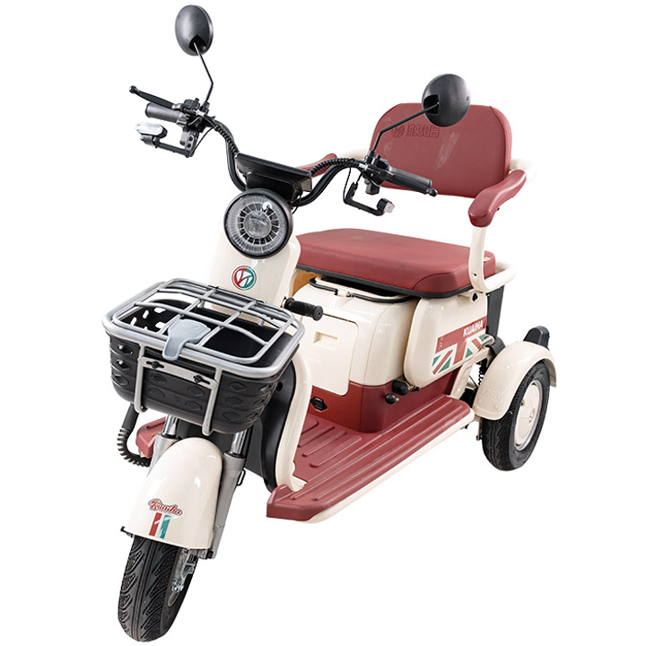 Xe máy điện DXMIT TRI