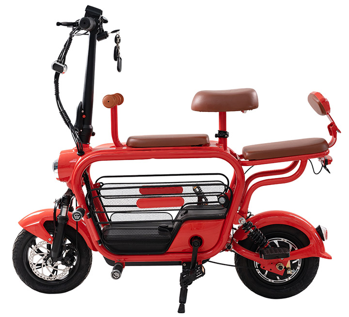 Xe đạp điện DXMIT Pet 2