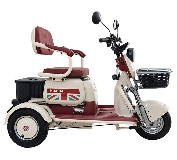 Xe máy điện DXMIT TRI